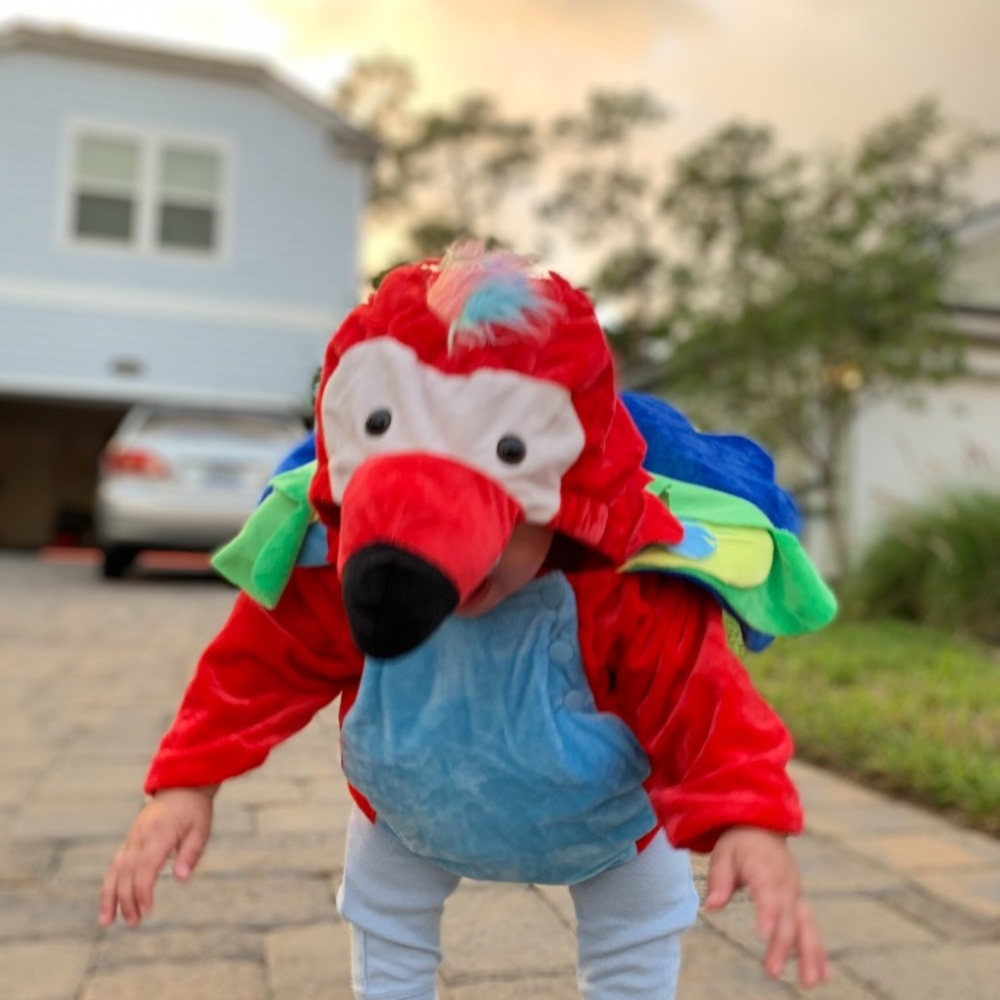 🦜 Baby/toddler parrot Halloween costume 12-18m